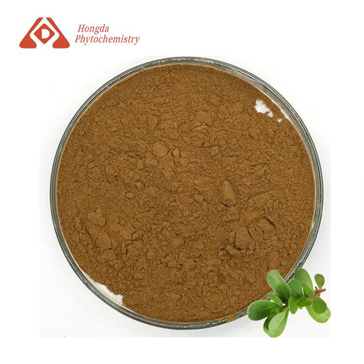 Bacopa Monniera Extract Powder