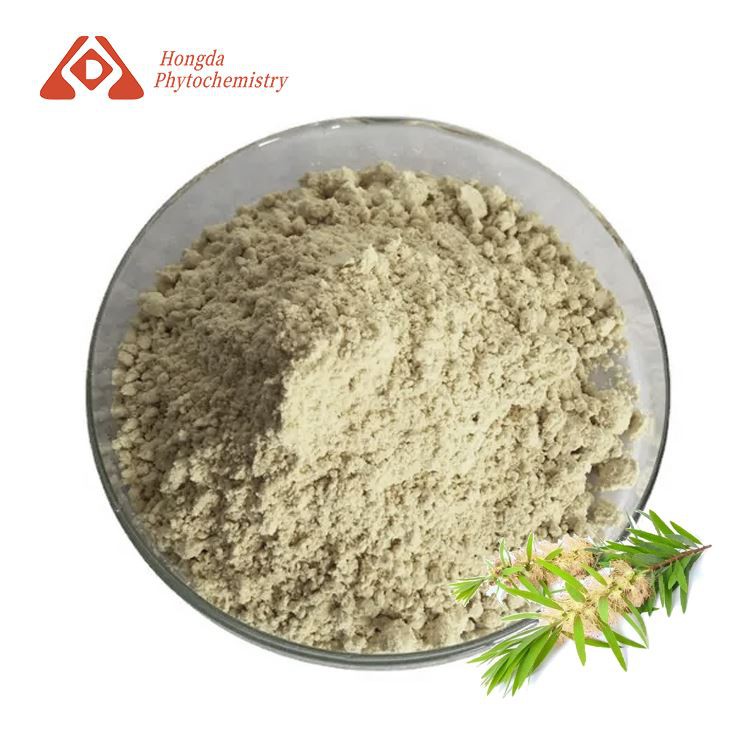 Extracte de melaleuca pols