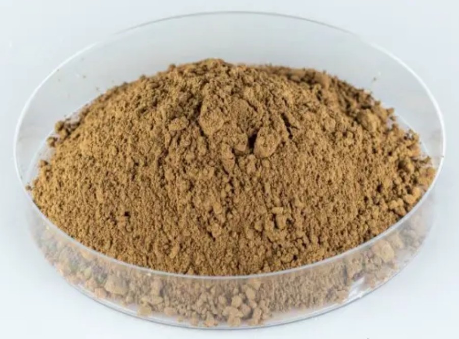 Wild Jujube Seed Extract